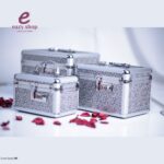 طقم شنط لماع فضي ادراج